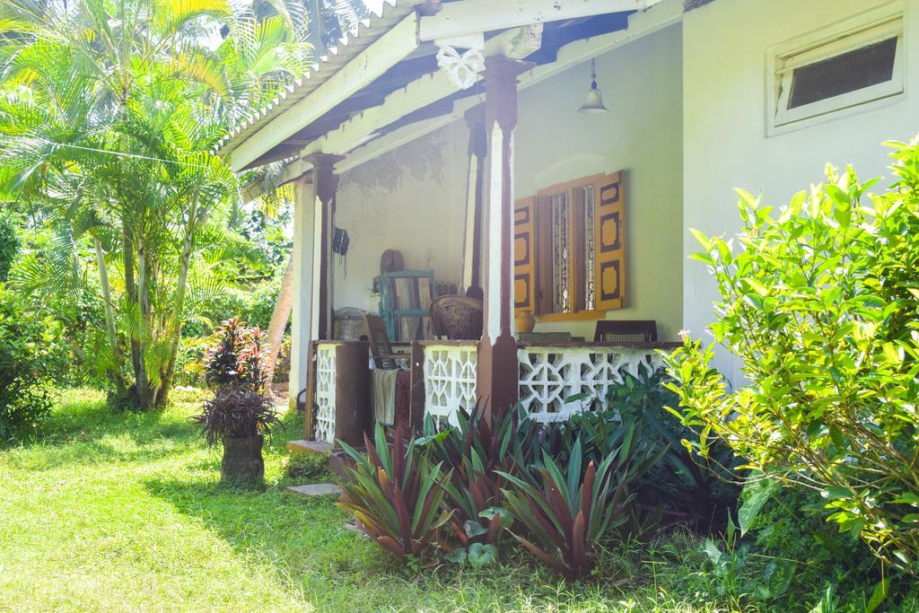 Shammie Guest House 히카두와 외부 사진