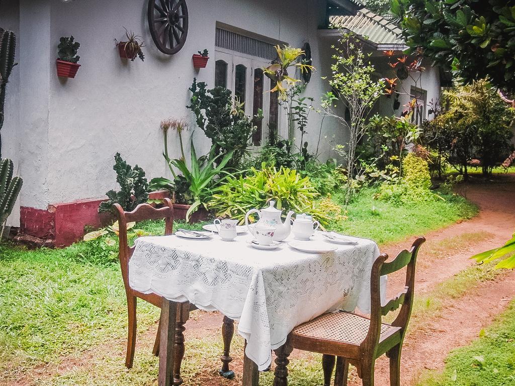 Shammie Guest House 히카두와 외부 사진